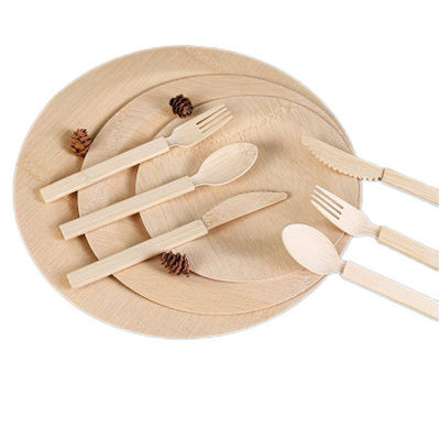 6.7inch Disposable Bamboo Cutlery Biodegradable Bamboo Spoons For Party